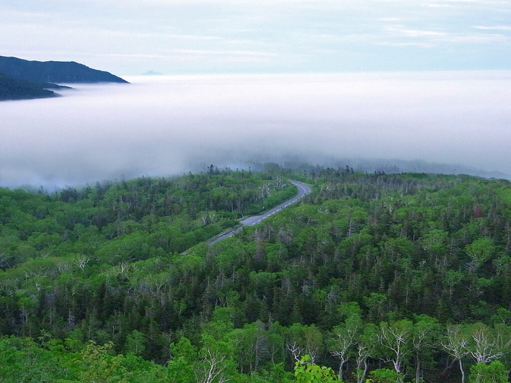 羅臼と斜里 2つの町で知る ほんとうの知床 知床峠を越えてゆけ 知床ねむろマガジン 公式